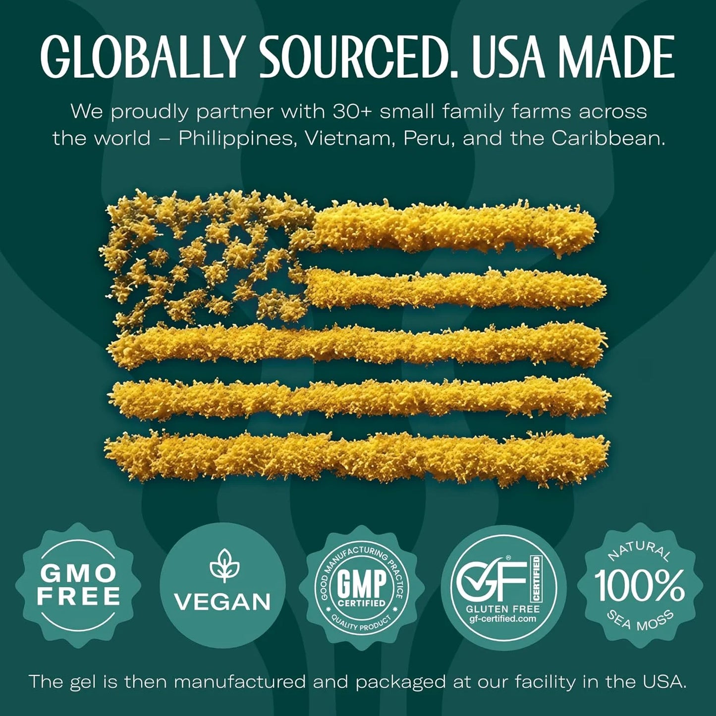 Wildcrafted Irish Sea Moss Gel Superfood - Pineapple, Pack of 3 Organic Seamoss - Made in USA