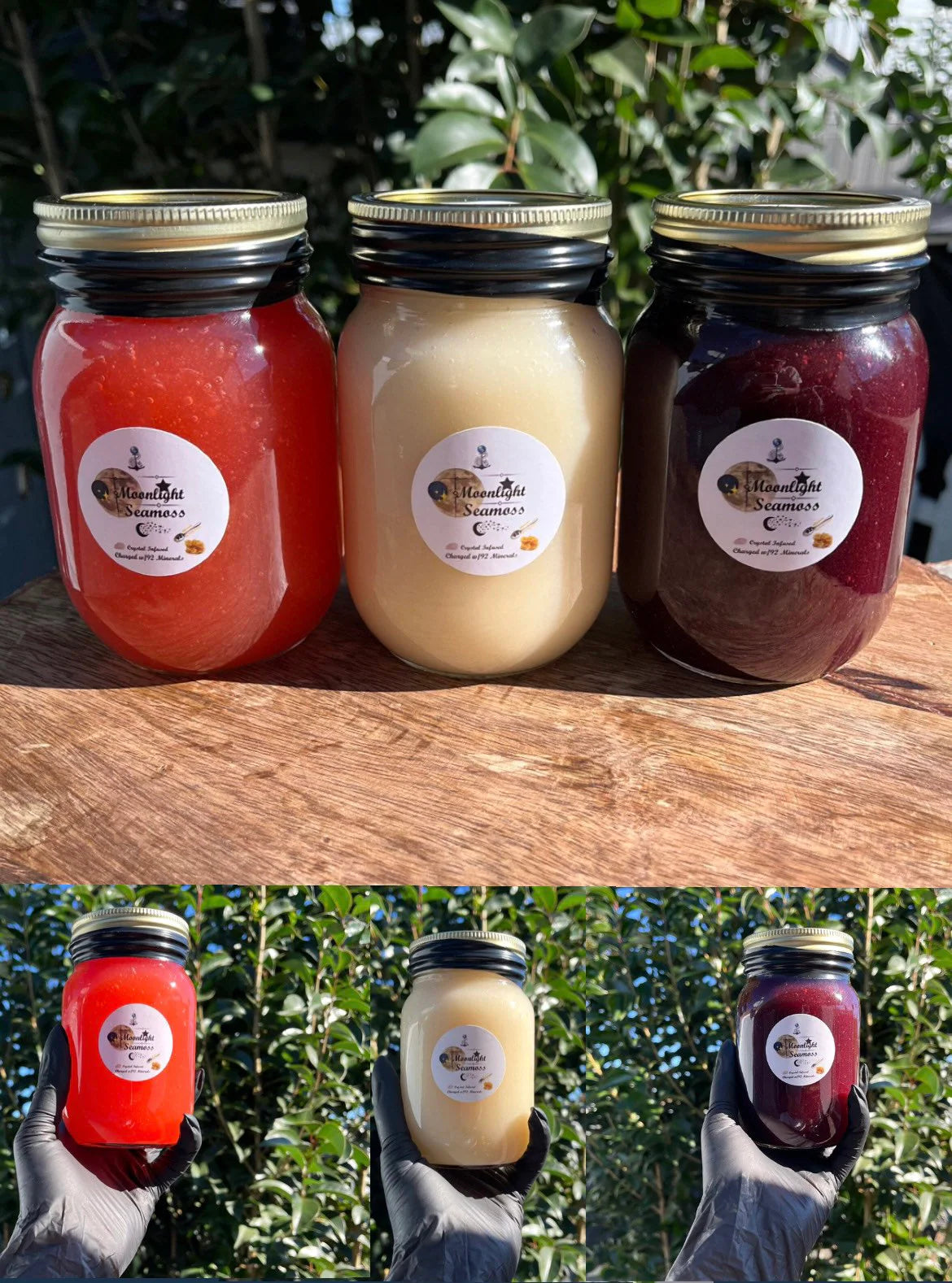 Moonlight Seamoss Gel | Wildcrafted Sea Moss Gel | 100% Organic Sea Moss | Organic | Highgrade | Freshly Made
