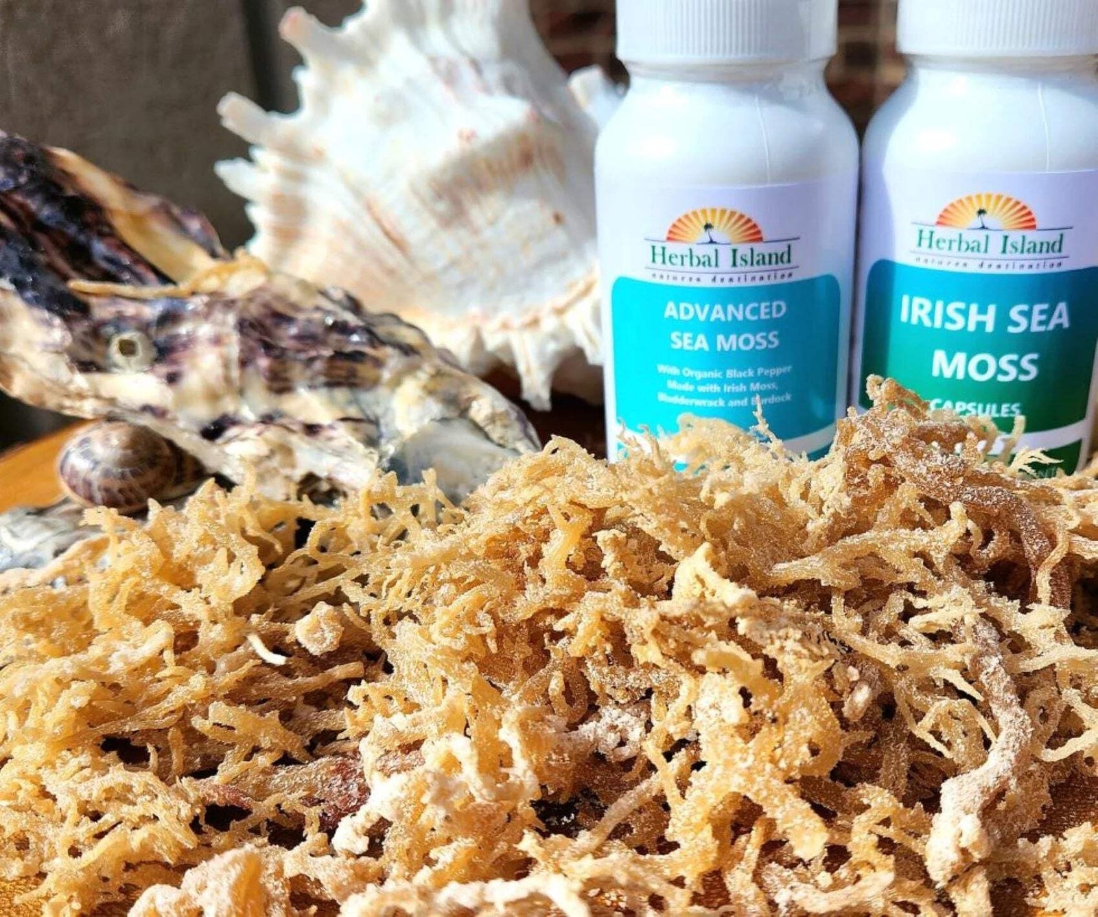 Irish Sea Moss Bundle