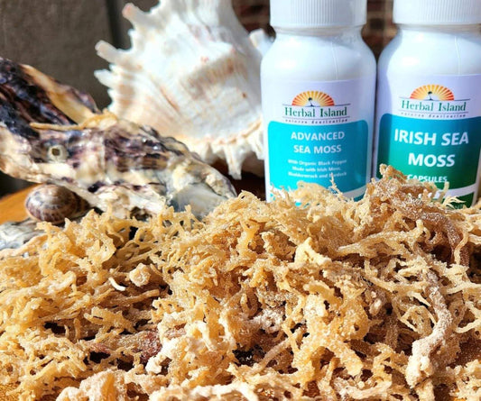 Irish Sea Moss Bundle