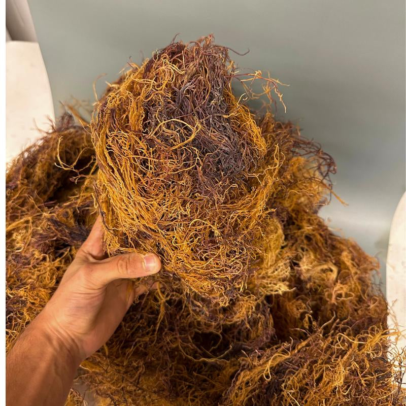 Mineral Seamoss Gel